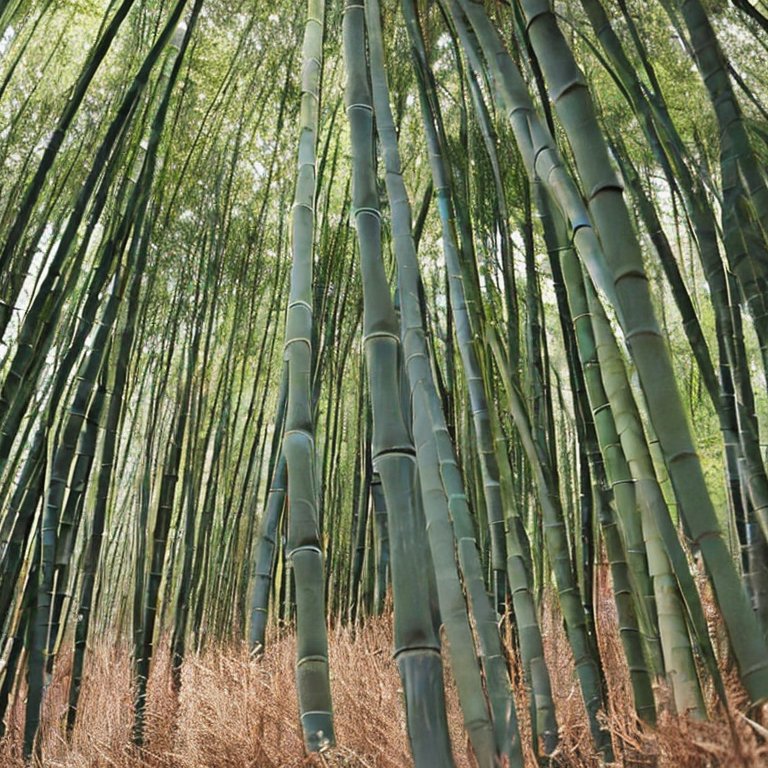 ropa de bambú cómoda y sostenible